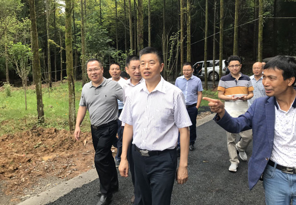 田中文巡查柳溪河河长制落实情况
