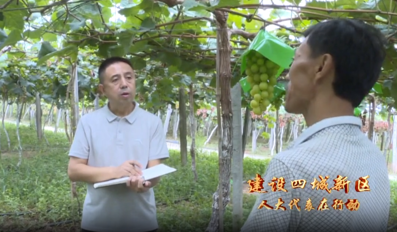 微信图片_20240920114311.png