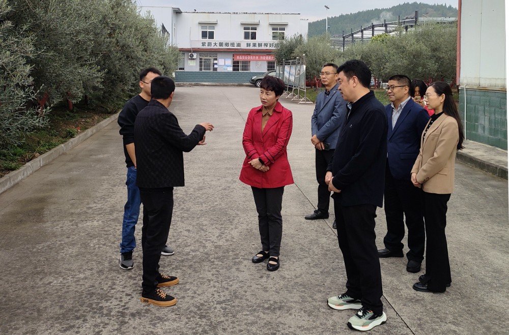 微信图片_20241018210826.jpg