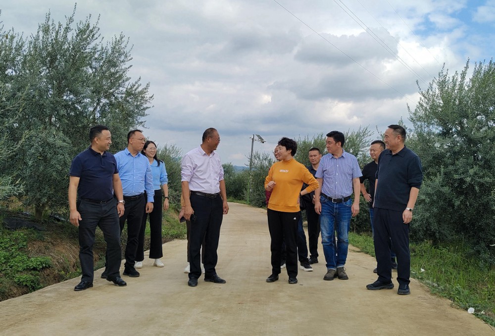 微信图片_20241018210839.jpg