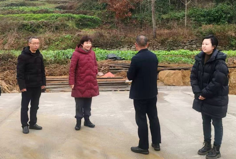 微信图片_20241220181410.jpg