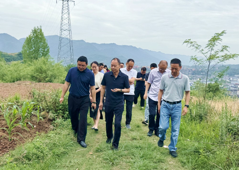 微信图片_20250604175212.jpg