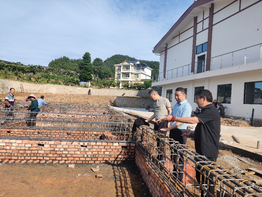 苍溪县人大常委会党组书记、主任李汀赴黄猫垭镇调研文旅产业发展工作
