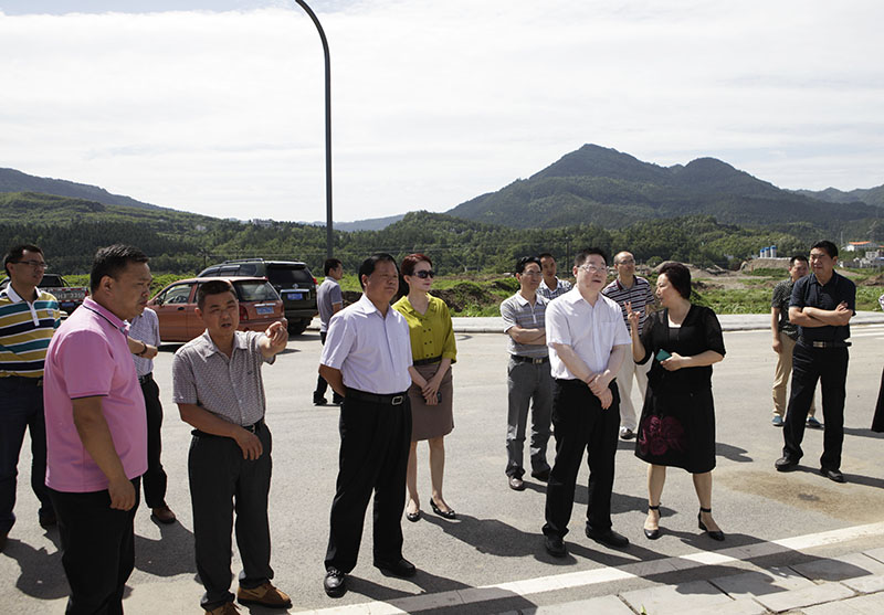 专注发展定力 　不断提升县域经济实力