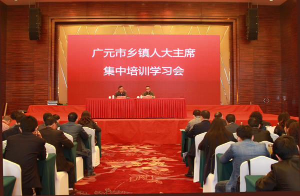 全市乡镇人大主席培训会举行
