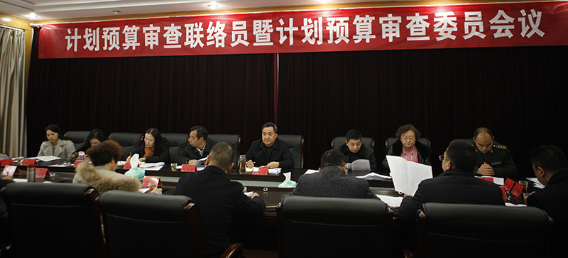 市七届人大三次会议计划预算审查监督联络员暨计划预算审查委员会议召开