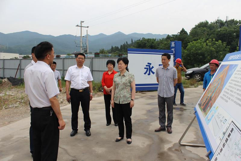 赵爱武督导市重点  项目建设