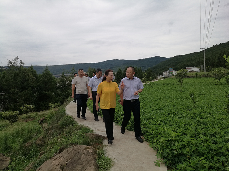 苟英明调研库区移民稳定发展工作