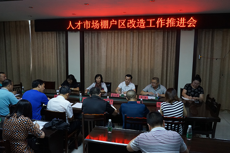 唐小平调研原人才市场棚改项目推进情况