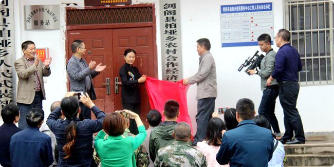 苟英明为剑阁县柏桠乡农村合作经济经营管理站揭牌