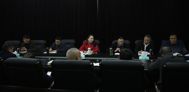 苟英明主持召开创造性做好2019年工作座谈会