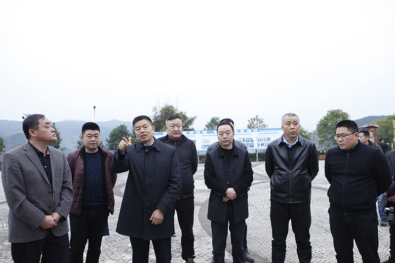市人大常委会开展《水污染防治法》执法检查