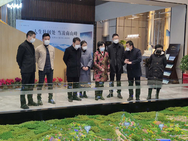 市人大常委会副主任赵爱武调研督导鲲鹏小镇项目疫情防控和开工复工情况