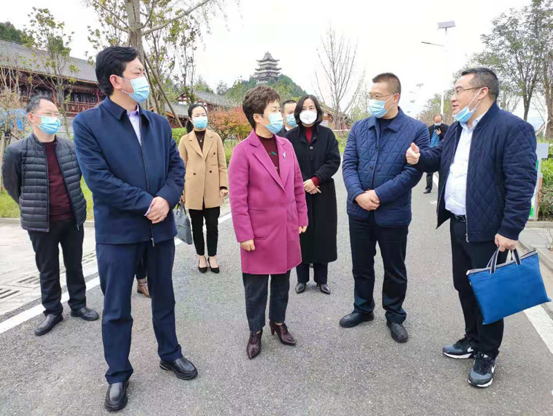 吴桂华带队前往苍溪县督导新冠肺炎疫情防控工作