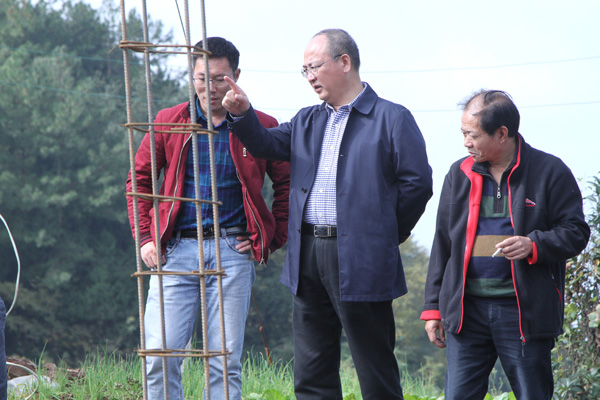 任利国带队赴白山乡调研督导机关驻村帮扶工作