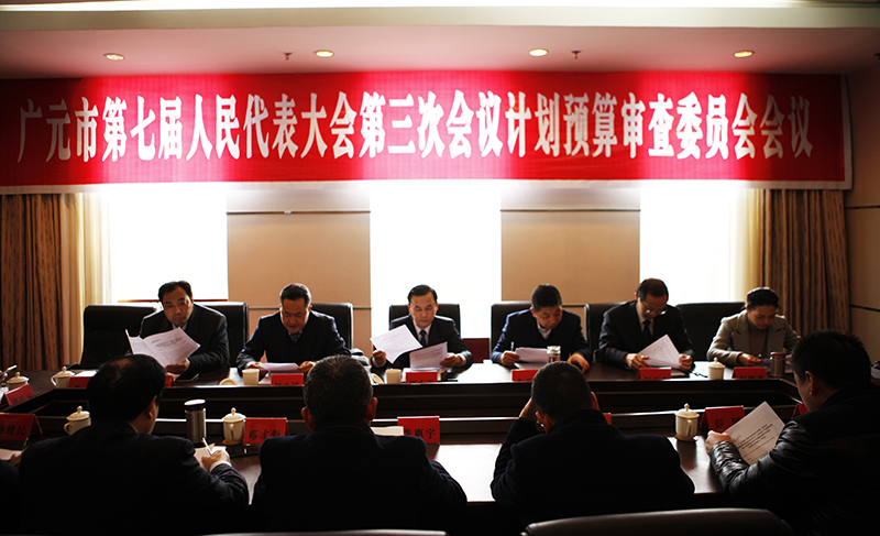 市七届人大三次会议举行计划预算审查委员会会议