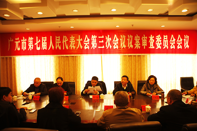 市七届人大三次会议举行议案审查委员会会议